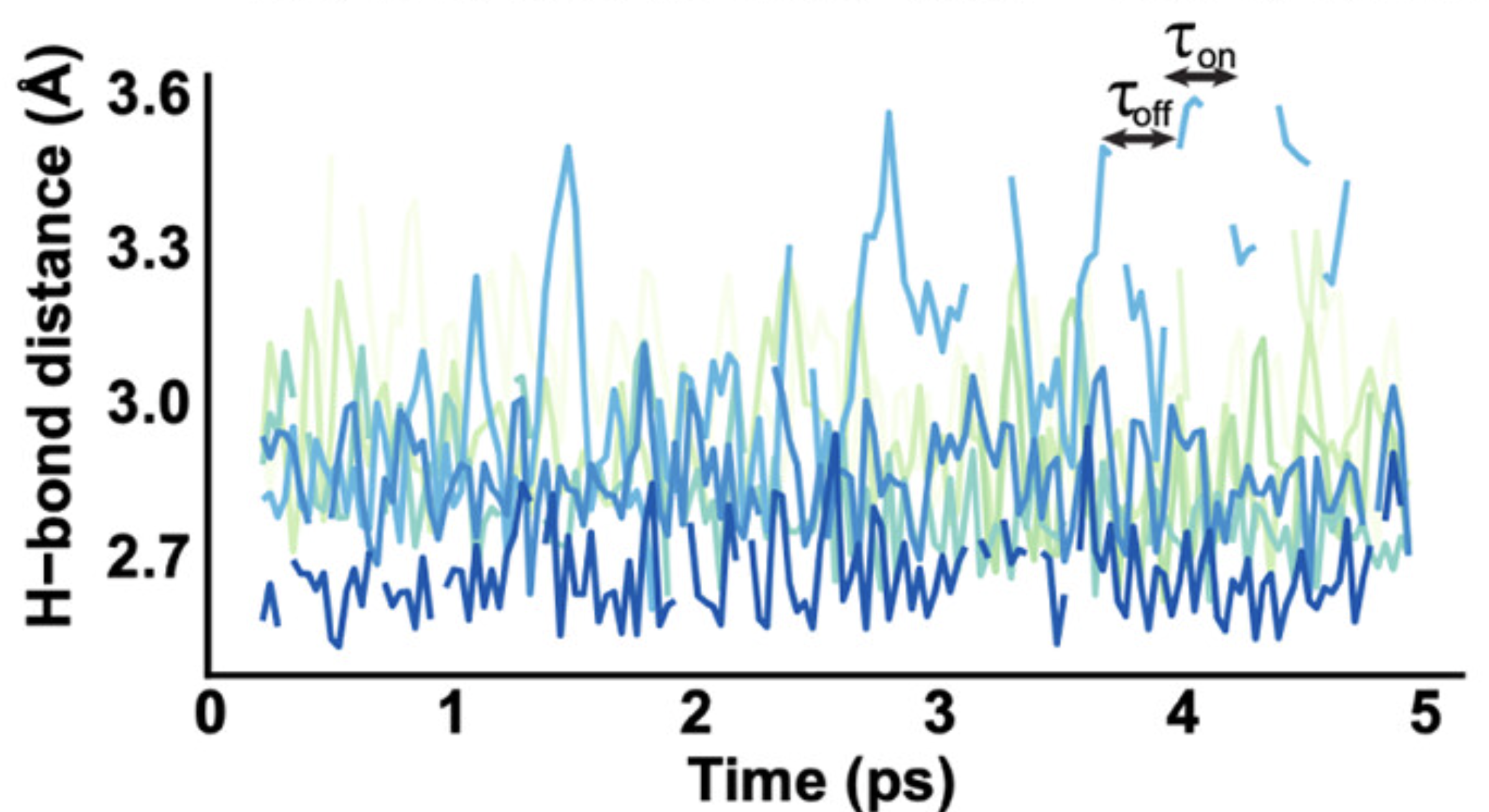 Hydrogen bond distance traces from MD simulations showing dynamic TnI-TnC contacts